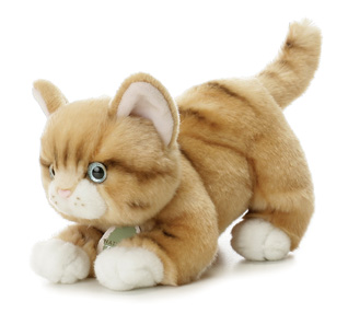 PLush Cat