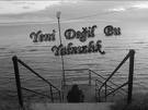 Aşık Değilsin :(