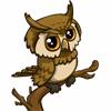 brown owl