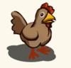 brown chicken