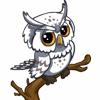 white owl