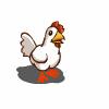 chicken