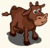 brown cow