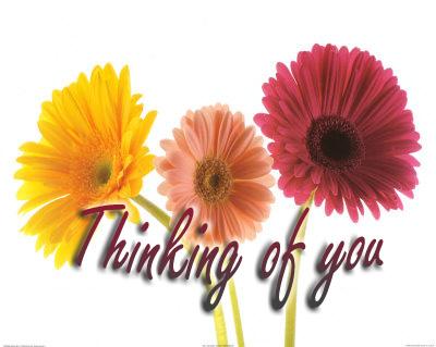 Thoughts of you! Bright spring colors remind me of you. Thinking of you today!