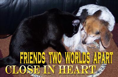 Friends two worlds apart. Friends knows no differences. Friends are close in the heart