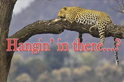 Hold on and hang on tight. Thinking of you!