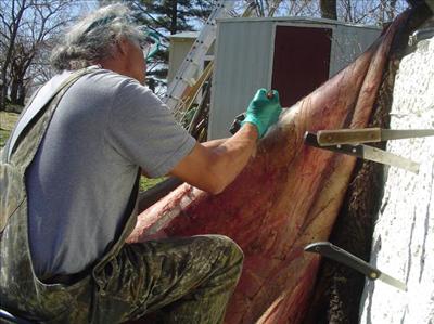 Buffalo Hide