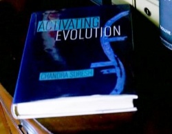 Activating evolution