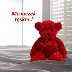 Misiaczek tęskni !