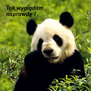 Tak wyglądam naprawdę !