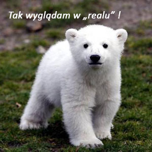 Tak wyglądam w REALU !