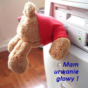 Mam urwanie głowy !