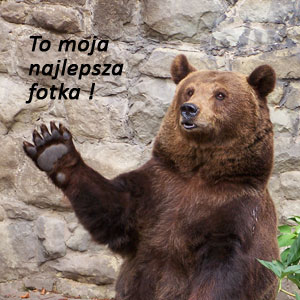 To moja najlepsza fotka !