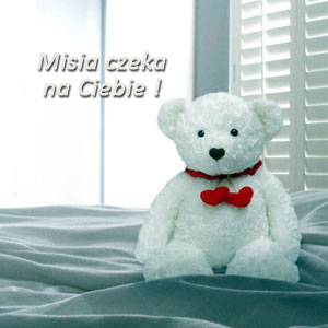 Misia czeka na Ciebie !