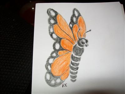 butterfly
