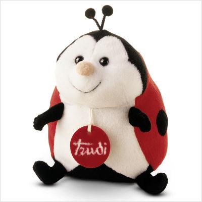 Cute Eco friendly LADY BUG