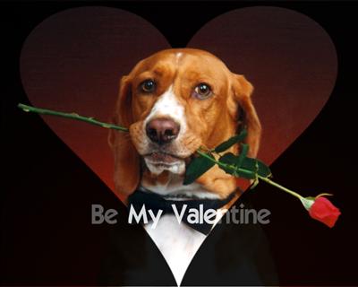 Valentine 
