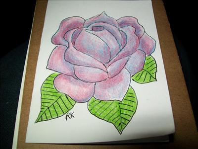 lavender rose