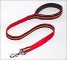 leash