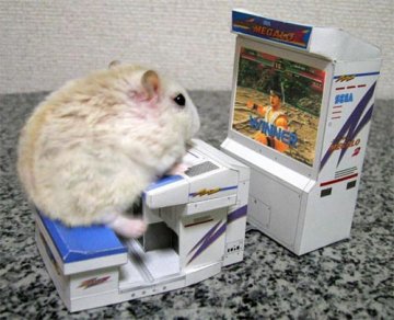 Computer Wizz Hamster