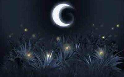 Le Lucciole - E’ notte. Una nuvola luminosa ti ha appena circondato. Le lucciole sono il miglior segnale di non inquinamento.  La speranza è che ci illuminino la strada per il rispetto dell’ambiente