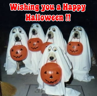 Happy Halloween