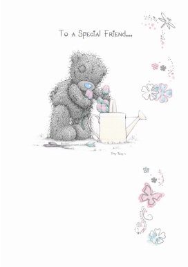 To A Special Friend ...