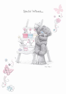 Special Wishes 3