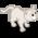 White Kitty