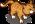 Orange Tabby
