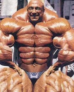 muscle man 