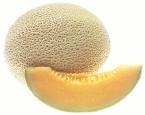 cantoloupe
