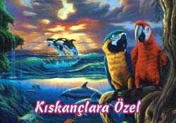 kalbim