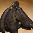 Rotten Banana