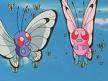 Butterfree Couple