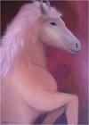 Pink horse