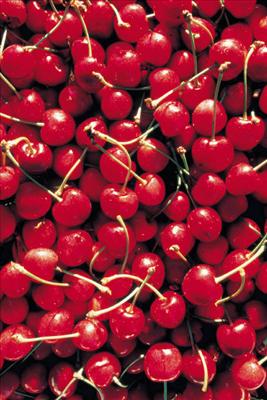 Cerises