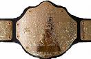 world heavyweight belt