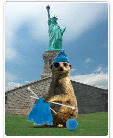 Knitkat