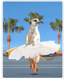 Balletkat