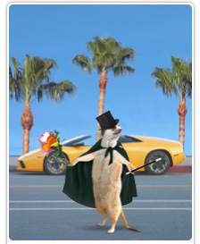 Magickat