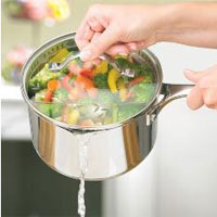 Princess Heritage® Stainless Steel Double-Spout Saucepan w/Lid 