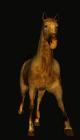 Night Mare