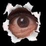 Spying Eye