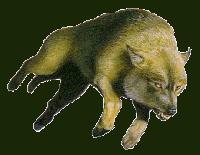 Werewolf