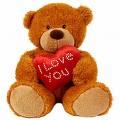 I love you bear