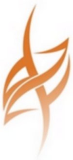 dzyemtri's logo