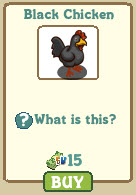 Black chicken