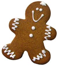 Ginger Cookie