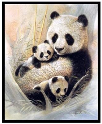 Panda Hug!